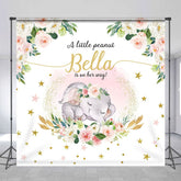 Aperturee - Aperturee Little Peanut Is On Her Way Custom Baby Shower Backdrop